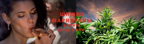 мет Бородино