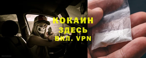 мет Бородино