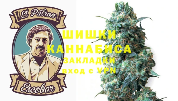 мет Бородино