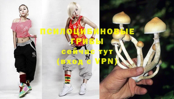 мет Бородино