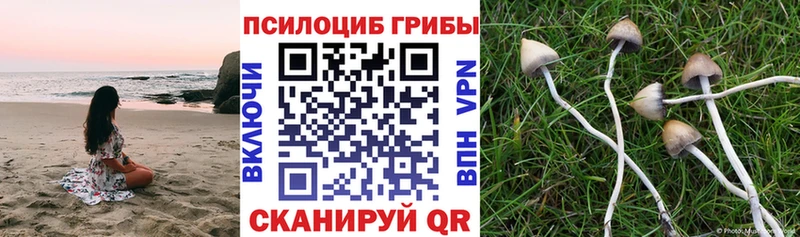 Псилоцибиновые грибы ЛСД  как найти наркотики  Коммунар 